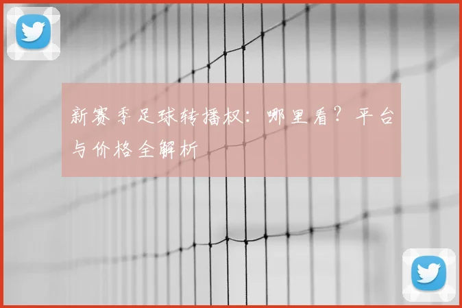 新赛季足球转播权：哪里看？平台与价格全解析